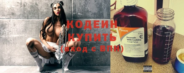 таблы Бородино
